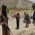 وزارة الدفاع الأفغانية: اعتقال 25 من مسلحي حركة طالبان في عملية أمنية بكابول