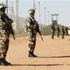 الدفاع الجزائرية: تدمير 24 مخبأ للجماعات الإرهابية وضبط 21 قنبلة
