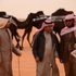 اللجنة المختصة بتحكيم الإبل المجاهيم تستعرض 14 رعية فئة "30" في أم رقيبة