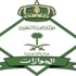 مدير الجوازات: سيارات متنقلة لتسريع الإجراءات و 3 أسابيع كافية لترحيل المخالفين