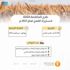 المؤسسة العامة للحبوب تطرح مناقصة لاستيراد 720 ألف طن قمح
