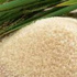 مصر تسمح بتصدر 20 ألف طن من الأرز للأردن