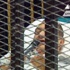 المؤبد لمبارك والعادلي والبراءة لجمال وعلاء المؤبد لمبارك والعادلي والبراءة لجمال وعلاء