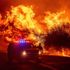 مقتل 16 في حرائق غابات أمريكا وإجلاء نصف مليون في أوريجون