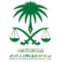 الكشف عن مجلس شورى للقاعدة مهمته متابعة أعمال التنظيم بالمملكة الكشف عن مجلس شورى للقاعدة مهمته متابعة أعمال التنظيم بالمملكة