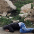 مصادر اسرائيلية: اطلاق النار على فلسطيني حاول طعن اسرائيلي في منطقة نابلس
