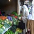 أسعار الخضر و الفواكه تعرف إستقرار في أولى أيام شهر رمضان
