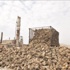 «الشمندر السكري» 2600 دونم بدلاً من 25 ألفاً