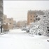 سورية.. أمطار وثلوج تجتاح أغلب مناطق الدولة