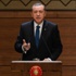 أردوغان: العالم غير آبه بمقتل مئات آلاف السوريين