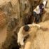 تقرير أممي يسجل مسؤولية الجيش الجزائري عن مقتل شابين حرقا بمخيمات تندوف