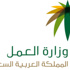 «العمل» تتوسع في توظيف مراقبات لدعم «تأنيث المحلات النسائية»