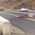 ناقة تتحمل مسؤولية حادث مروري!