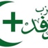 الوفد ينفى التحالف مع الفريق شفيق الوفد ينفى التحالف مع الفريق شفيق