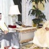 نائب الأمير استقبل رئيسي السلطتين ووزراء الخارجية والداخلية والدفاع