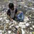 نفايات البلاستيك حول العالم تهدد النظام البيئي لجزر جالاباجوس
