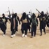 مقتل 55 عنصراً من داعش جنوبي تكريت مقتل 55 عنصراً من داعش جنوبي تكريت