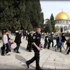 مستوطنون إسرائيليون يقتحمون المسجد الأقصى مستوطنون إسرائيليون يقتحمون المسجد الأقصى
