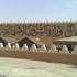 المراقب المالي بـ «الجمارك» يحرم 80 موظفاً من بدل الموقع المراقب المالي بـ «الجمارك» يحرم 80 موظفاً من بدل الموقع