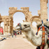 البنك الدولي: اقتصاد سوريا سينكمش بـ6.4% البنك الدولي: اقتصاد سوريا سينكمش بـ6.4%