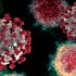الهند تسجل 10 آلاف و126 إصابة جديدة بفيروس كورونا