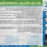 المصريون في الخارج منقسمون بعد تأجيل أخذ رأيهم في مشروع الدستور المصريون في الخارج منقسمون بعد تأجيل أخذ رأيهم في مشروع الدستور