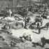 1958 سوق الفرضة الكويتي.. نشاط تجاري وسمات مجتمعية 1958 سوق الفرضة الكويتي.. نشاط تجاري وسمات مجتمعية