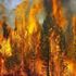 رجال الإطفاء في أستراليا يسابقون الزمن لاحتواء حرائق الغابات