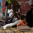 غزّة بعد مرور عام: الحصار الإسرائيلي لا يزال يخنق الفلسطينيين
