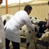 طوارئ في البحيرة بعد ظهور الحمى القلاعية بأبو المطامير طوارئ في البحيرة بعد ظهور الحمى القلاعية بأبو المطامير