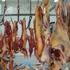 محافظة الجيزة : ضبط 8.6 طن لحوم ودواجن فاسدة محافظة الجيزة : ضبط 8.6 طن لحوم ودواجن فاسدة