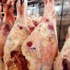 ناشطون مسجونون في الصحراء الغربية يبدأون اضرابا عن الطعام