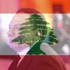 كيف رد عادل إمام على المتعاطفين مع فرنسا؟