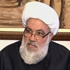 الطفيلي لنصر الله: كيف يكون قتل السوريين حرباً لتحرير الجولان والقدس؟
