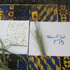 غزة.. حبة قمح تنتج 7 سنبلات في كل سنبلة 100 حبة