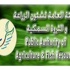 «الزراعة»: مشروع إنارة الوفرة والعبدلي شارف على الانتهاء