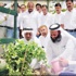 النصر: نشجع الشركات على دعم مبادرة البيئة الخضراء