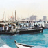 1969 نشاط حيوي في عبرات خور دبي