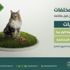 مدني حائل يباشر حالات احتجاز مركبات في بطون الأودية مدني حائل يباشر حالات احتجاز مركبات في بطون الأودية
