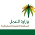 "العمل" تعلن ضوابط تصحيح وضع العمالة بـ 8 لغات "العمل" تعلن ضوابط تصحيح وضع العمالة بـ 8 لغات