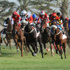 نتائج السباق 11 لسباق الخيل على مضمار نادي راشد للفروسية‎