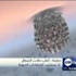 دراسة : أغلب حالات السعال لا تستجيب للمضادات الحيوية دراسة : أغلب حالات السعال لا تستجيب للمضادات الحيوية