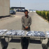 إحباط تهريب 420 تليفونًا محمولًا من ليبيا