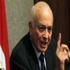 العربي يدعو لخطة تحرك فورية لوقف الاعتداءات الاسرائيلية