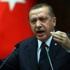 اردوغان يشن هجوما جديدا على إسرائيل