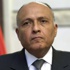 "شكري" يؤكد دعم مصر للشعب الفلسطيني