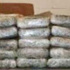 سقوط مسجل خطر وبحوزته 7 كيلو بانجو وسلاح نارى بالمطرية سقوط مسجل خطر وبحوزته 7 كيلو بانجو وسلاح نارى بالمطرية