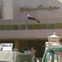 الإعدام شنقا لموظف والمؤبد لثلاثة فى أحداث الفتنة الطافية بالمراغة سوهاج