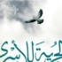 الاسير محمود ابو سرور يدخل عامه الـ 21 خلف القضبان