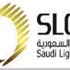 "الإنارة العامة" تخطط لطرح أسهمها بالسوق السعودية